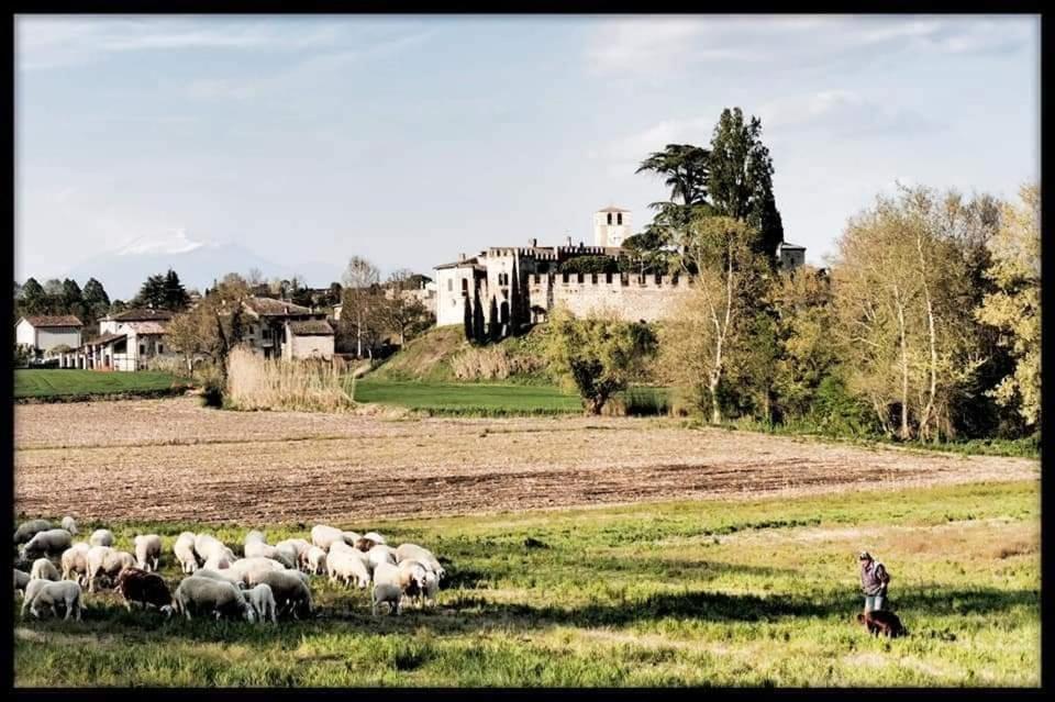 Le Camere Di Virgilio มอนซามบาโน ภายนอก รูปภาพ