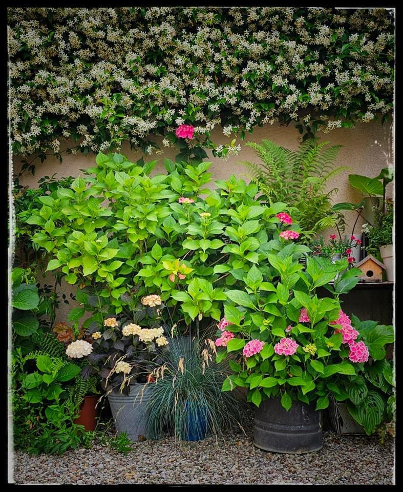 Le Camere Di Virgilio มอนซามบาโน ภายนอก รูปภาพ